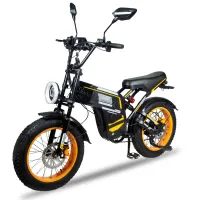 Электровелосипед Minako Apex Желтый