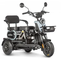 Электротрицикл Wanshida UN MOTO 60V 650Вт Черно-синий